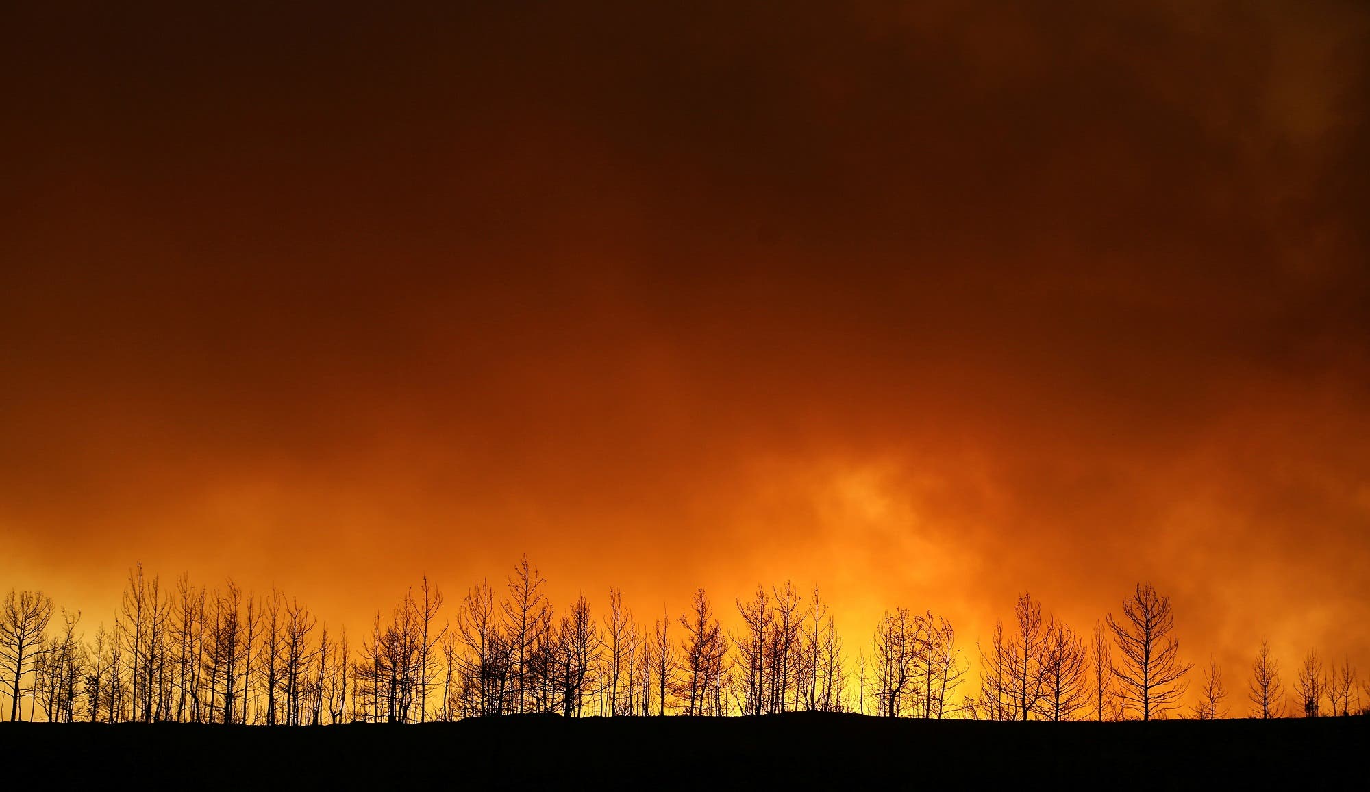 حريق غابات شرق منتجع أنطاليا في تركيا (أرشيفية من رويترز)